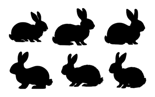 Vector de Rabbit Silhuotte en un fondo transparente