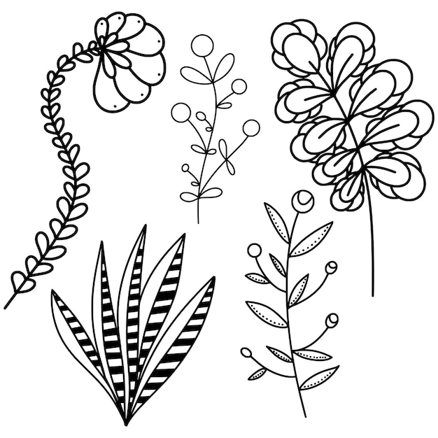 Vector de racimo floral negro