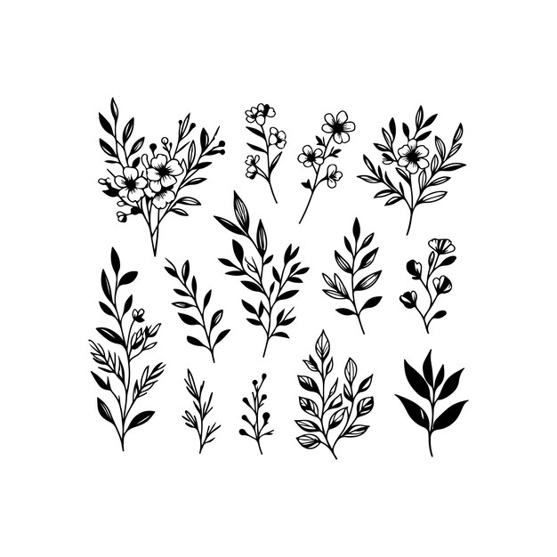 Vector de ramas florales y flores minimalistas