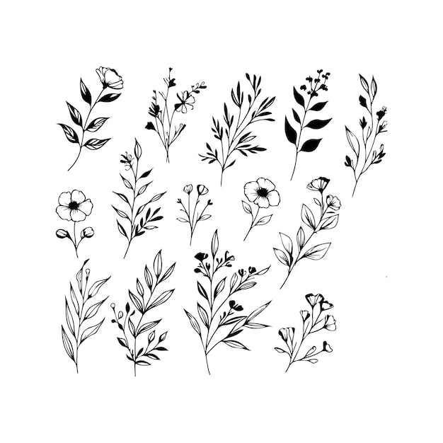 Vector de ramas florales y flores minimalistas
