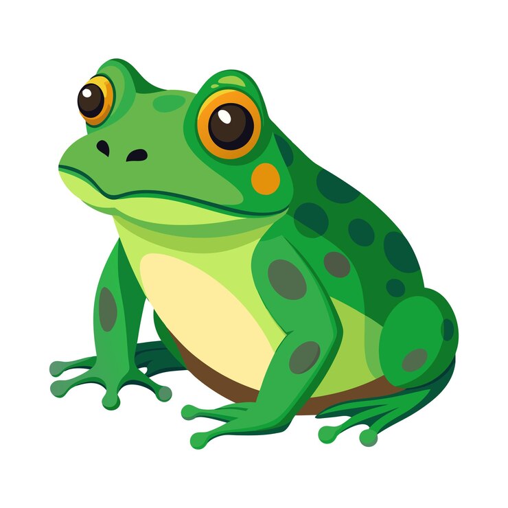 Vector vector de ranas aislado sobre un fondo blanco
