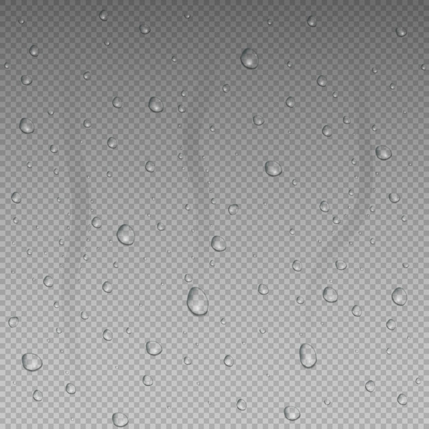 Vector realista aislado gotas de agua en el fondo transparente.