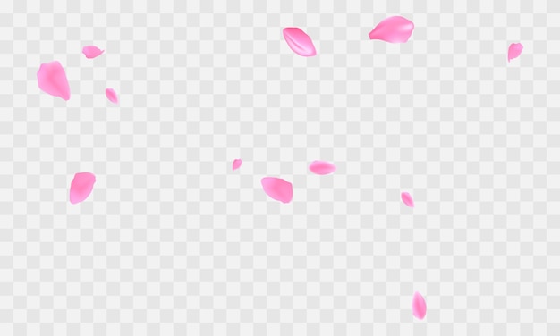 Vector vector realista fondo de pétalos de flor de sakura
