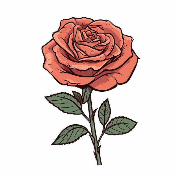 el vector de una rosa