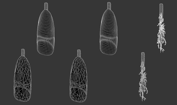 Vector vector set 3d pulmones y bronquios aislado sobre fondo blanco elemento para diseño médico