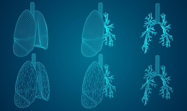 Vector set 3D pulmones y bronquios sobre fondo de color Elemento para diseño médico