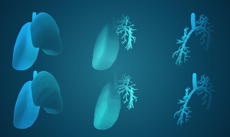 Vector vector set 3d pulmones y bronquios sobre fondo de color elemento para diseño médico