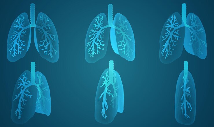 Vector vector set 3d pulmones y bronquios sobre fondo de color elemento para diseño médico