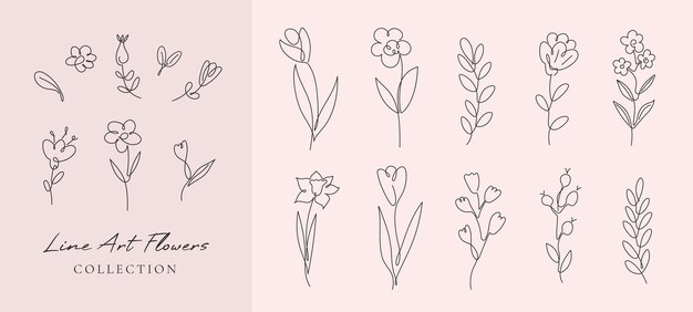 Vector set flores y ramas en estilo de línea de contorno continuo minimalista simple Línea dibujada a mano