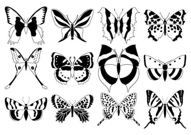 Vector vector set mariposas sobre un fondo blanco dibujo decorativo insecto siluetas mano dibujar vector