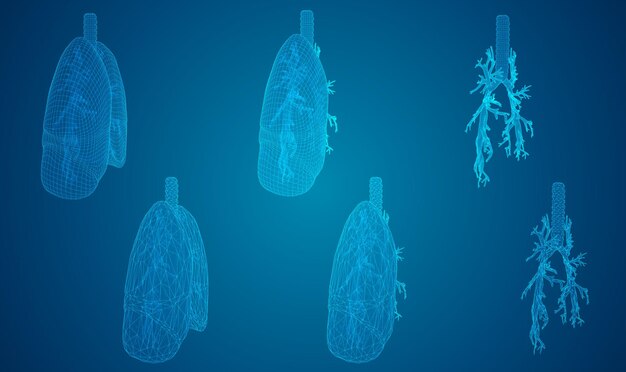 Vector set pulmones y bronquios elementos 3d para diseño