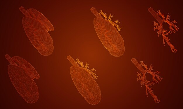 Vector set pulmones y bronquios elementos 3d para diseño