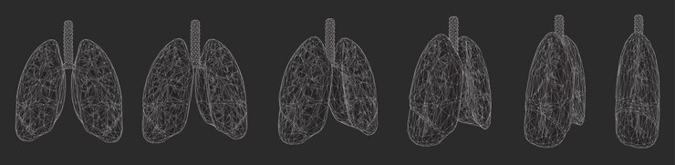 Vector vector set pulmones y bronquios elementos 3d para diseño