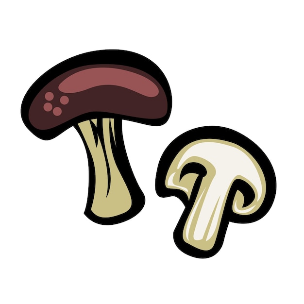 Vector de setas