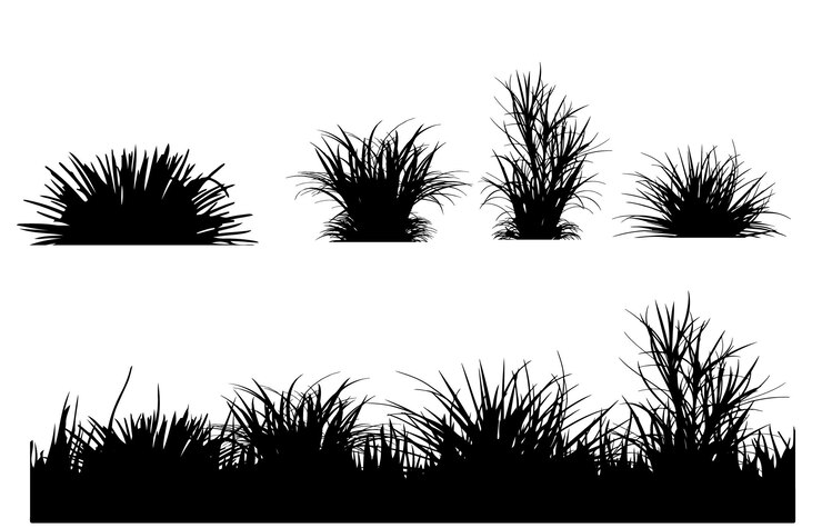 Vector vector silueta aislada de hierba sobre fondo blanco.