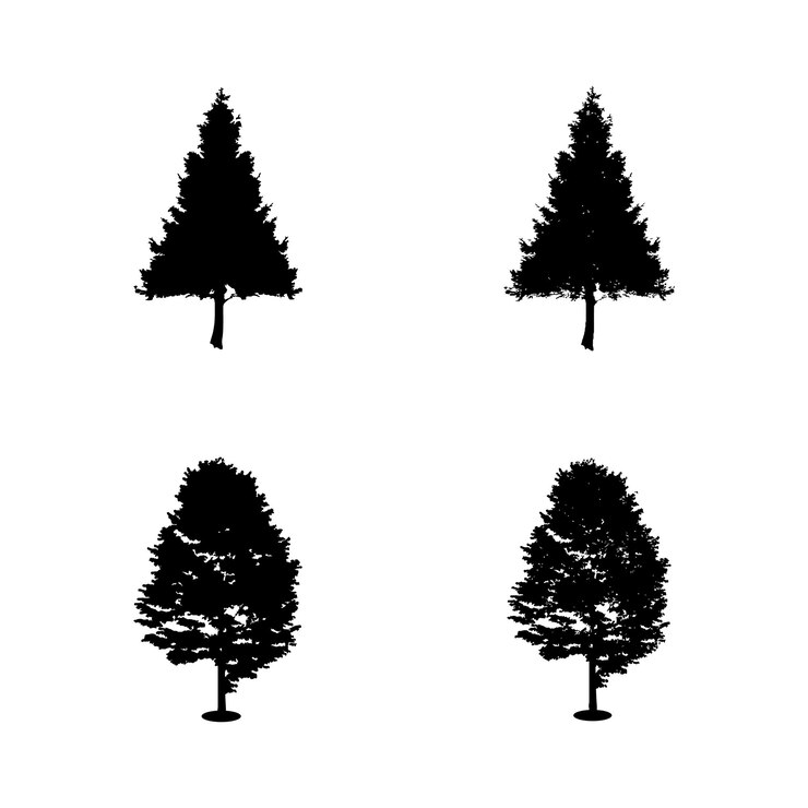 Vector de silueta de árbol. Siluetas de árboles forestales aislados en negro sobre fondo blanco Vector.