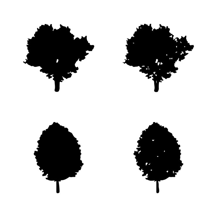 Vector de silueta de árbol. Siluetas de árboles forestales aislados en negro sobre fondo blanco.