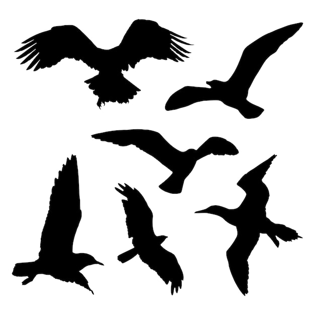 Vector de silueta de aves voladoras