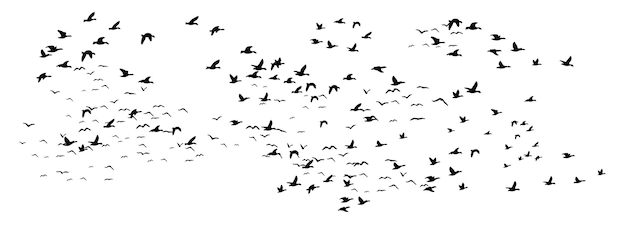 Vector de silueta de las aves en vuelo bandada de aves en vuelo