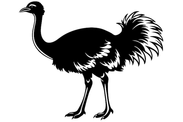 un vector de silueta de avestruz