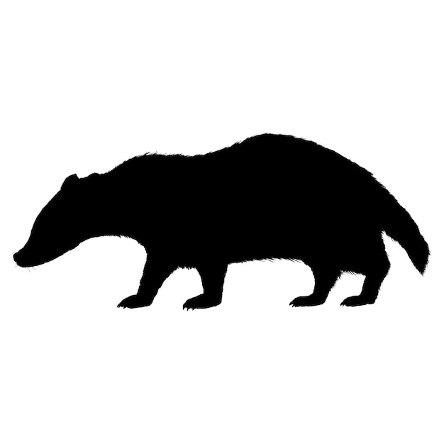 Vector silueta blanca de tejón