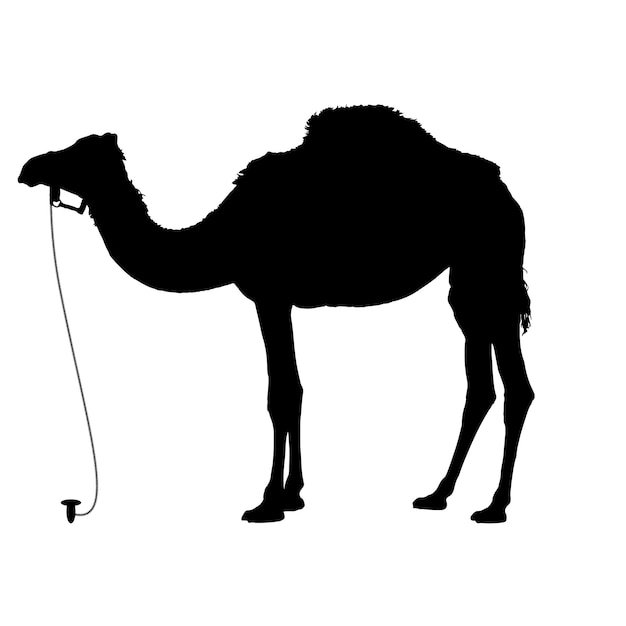 vector de silueta de camellos
