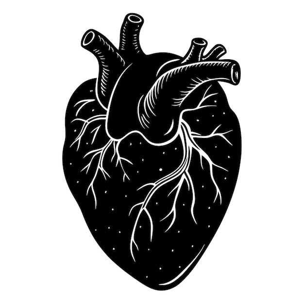 vector de silueta cardíaca médica