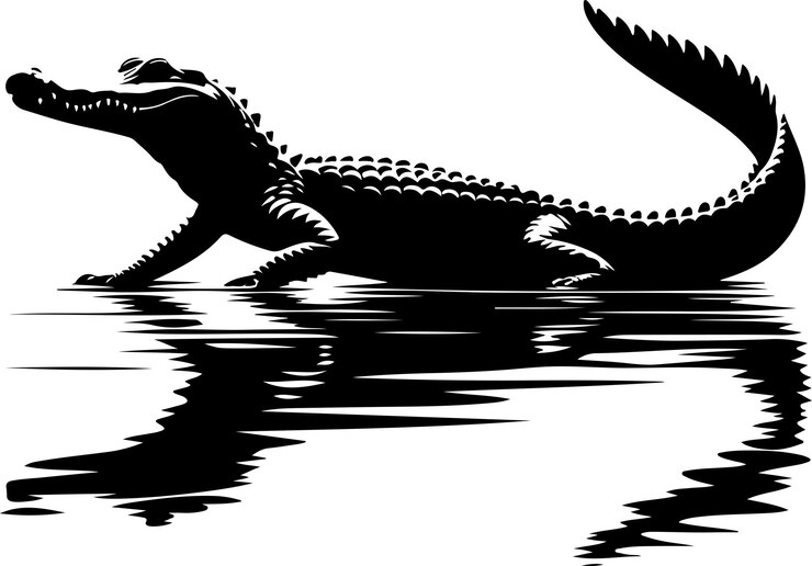 Vector vector de silueta de cocodrilo de color negro silueta de fondo blanco sólido