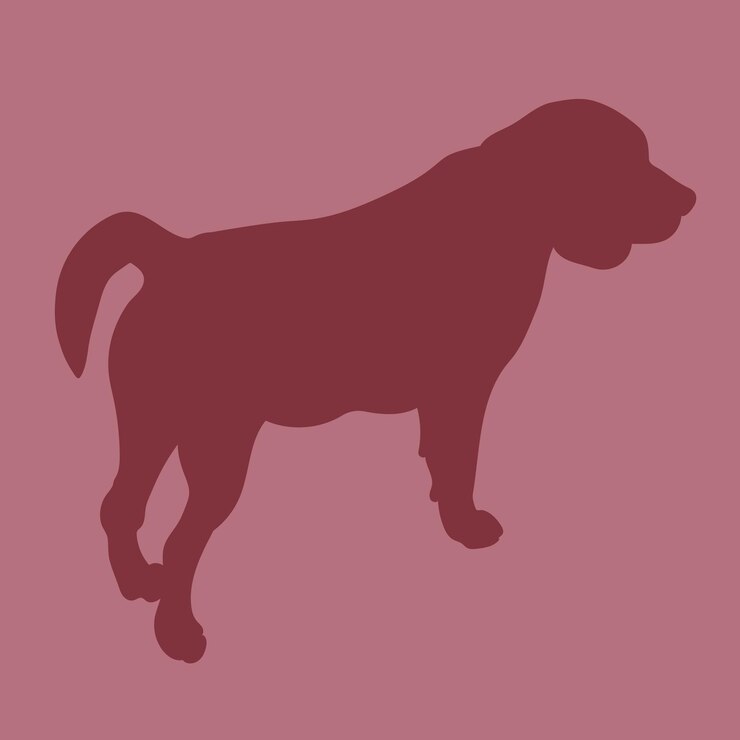 Vector vector de silueta de color de pasaporte de perro veterinario