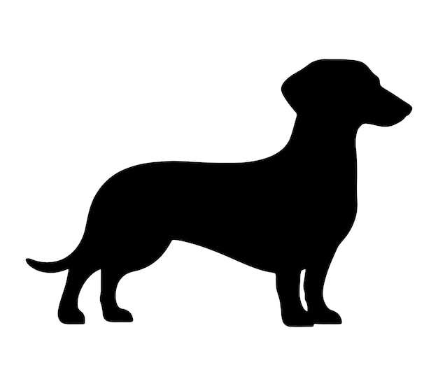 Vector de silueta de Dachsbracke alpino sobre un fondo blanco