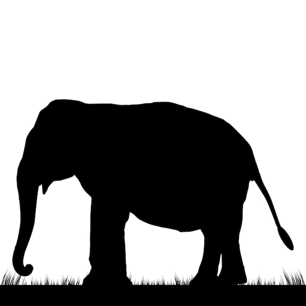 vector de silueta de elefante