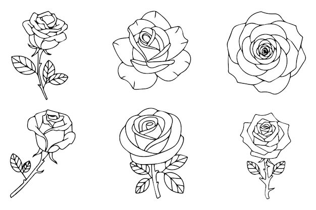 Vector de silueta fuera de la línea de seis rosas con diferentes estilos y ángulos