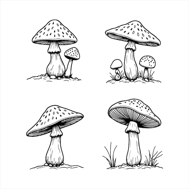 Vector de silueta de grabado de la variedad de setas