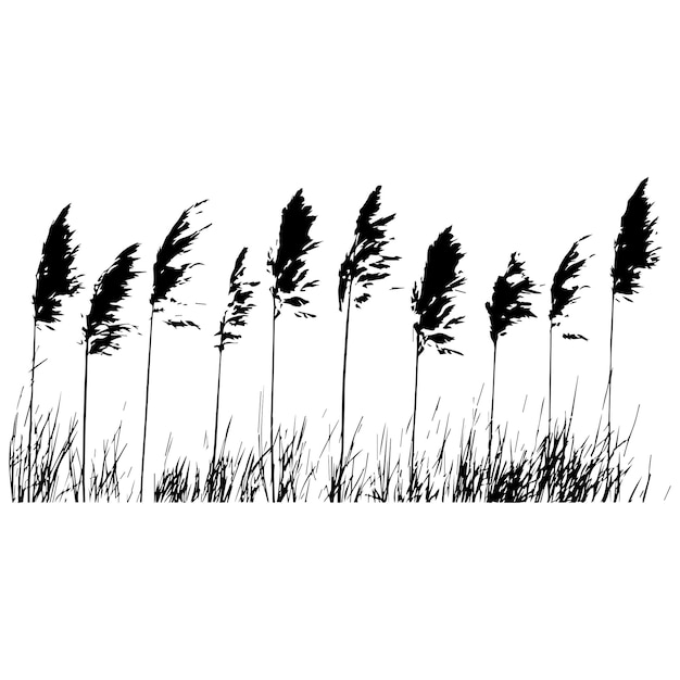 Vector de silueta de hierba larga fondo negro y blanco
