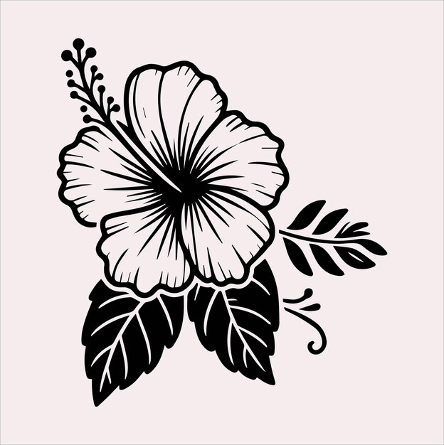 Vector de silueta de línea de flores de hibisco en un fondo blanco