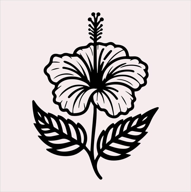 Vector de silueta de línea de flores de hibisco en un fondo blanco