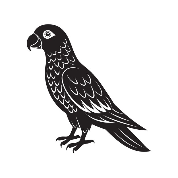 Un vector de silueta de loro en blanco y negro