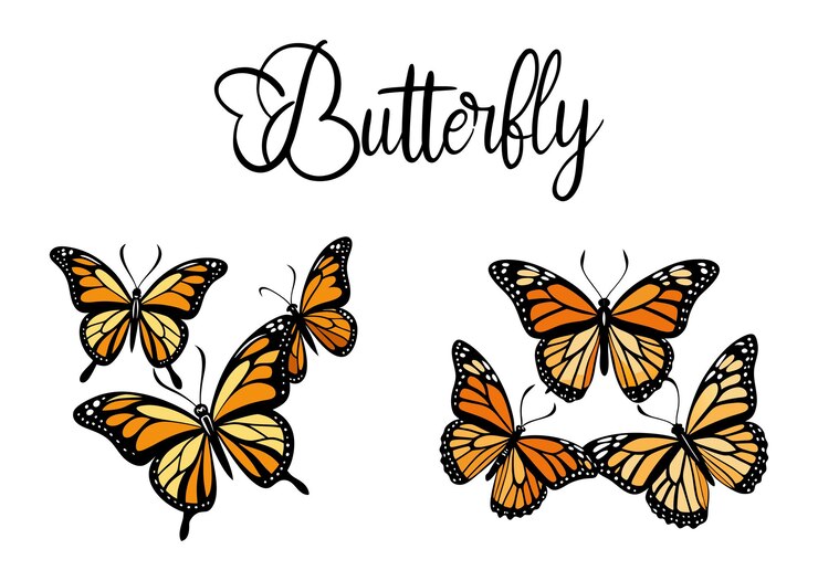 Vector de silueta de mariposa