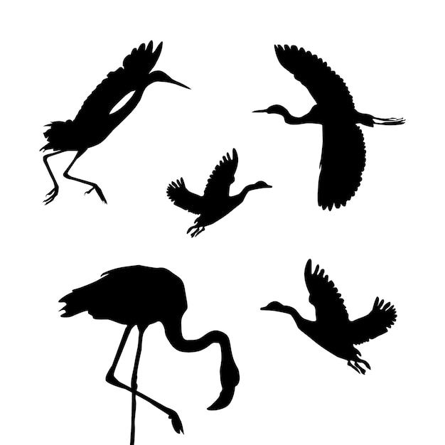 Vector de silueta negra y blanca de pájaro
