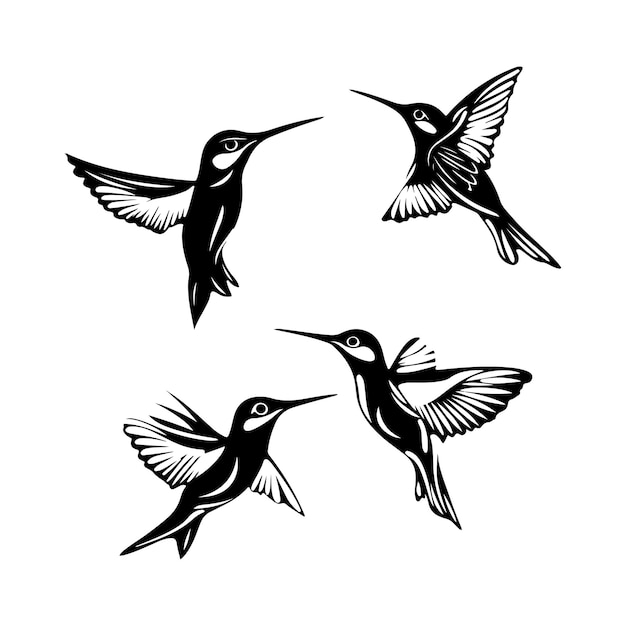 vector de la silueta negra del colibrí