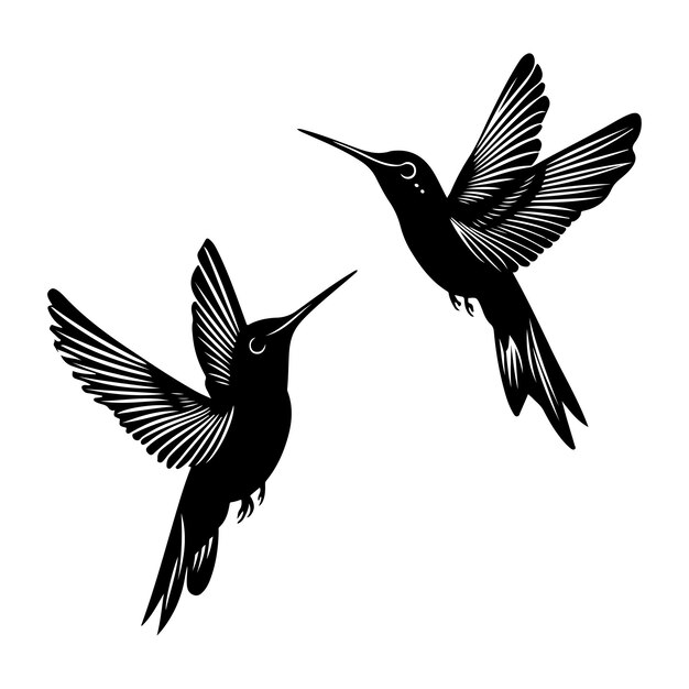 vector de la silueta negra del colibrí