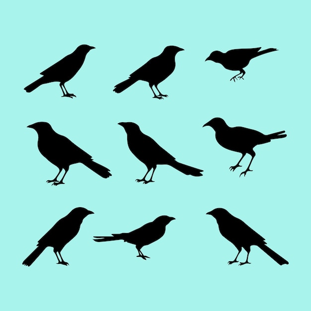 Vector de silueta negra del conjunto de pájaros Crow Clip art