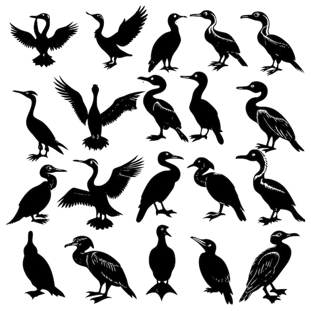 Vector de silueta negra del cormorán