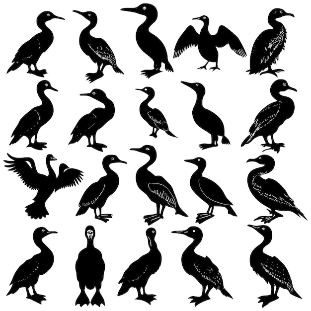 Vector de silueta negra del cormorán
