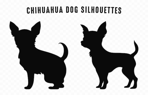 Vector de silueta negra de perros chihuahua aislado en un fondo blanco