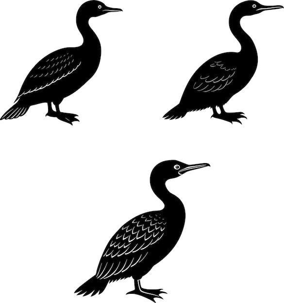 Vector de la silueta del pájaro extinto pallas cormorán