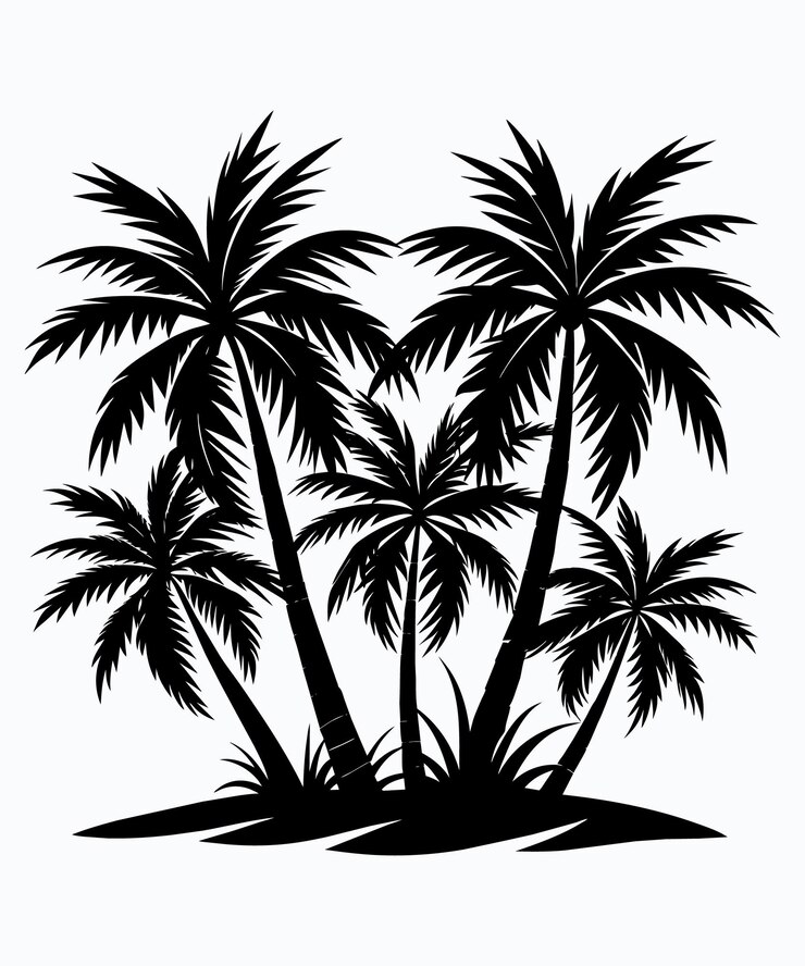El vector de la silueta de la palmera es negro