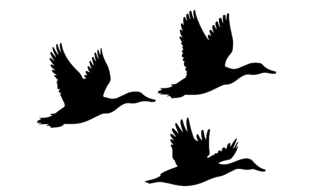 Vector de silueta de pato volador sobre un fondo blanco