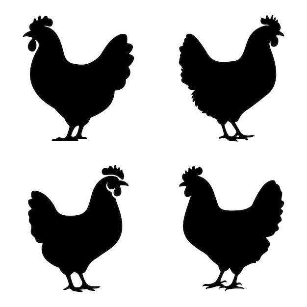 Vector de silueta de pollo sobre un fondo blanco
