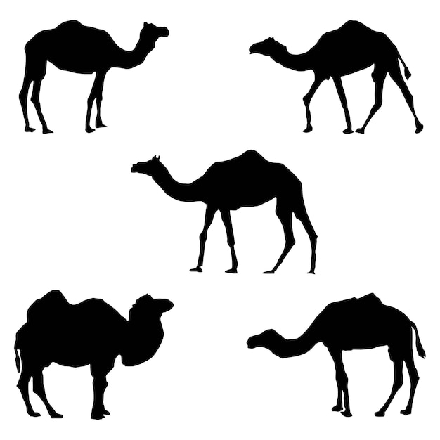 Vector de siluetas de camello blanco y negro